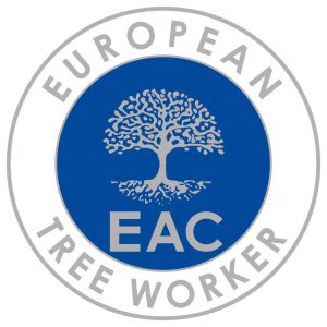 Certified European Tree Worker